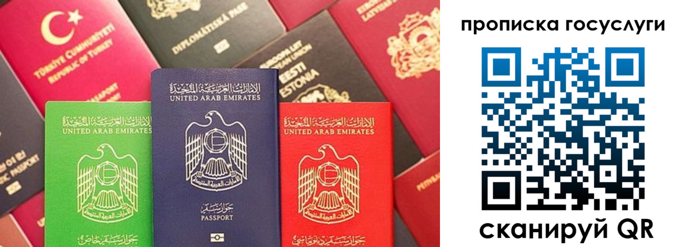 временная регистрация надежно в Домодедово